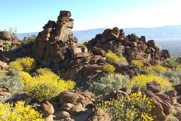 Palm Springs' Riviera Hotel transformative desert majesty