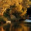 Things To Do in Australian Freshwater Fishing Charters, Restaurants in Australian Freshwater Fishing Charters