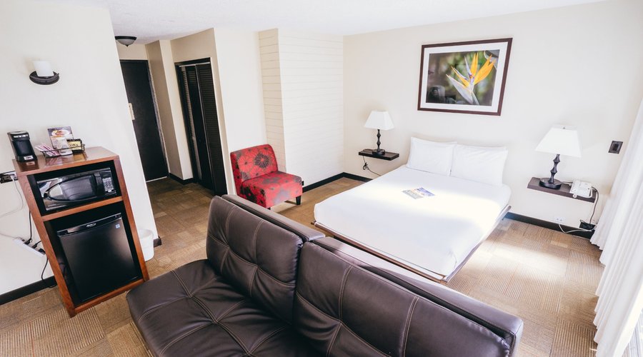 Deluxe Queen with Sofa Bed