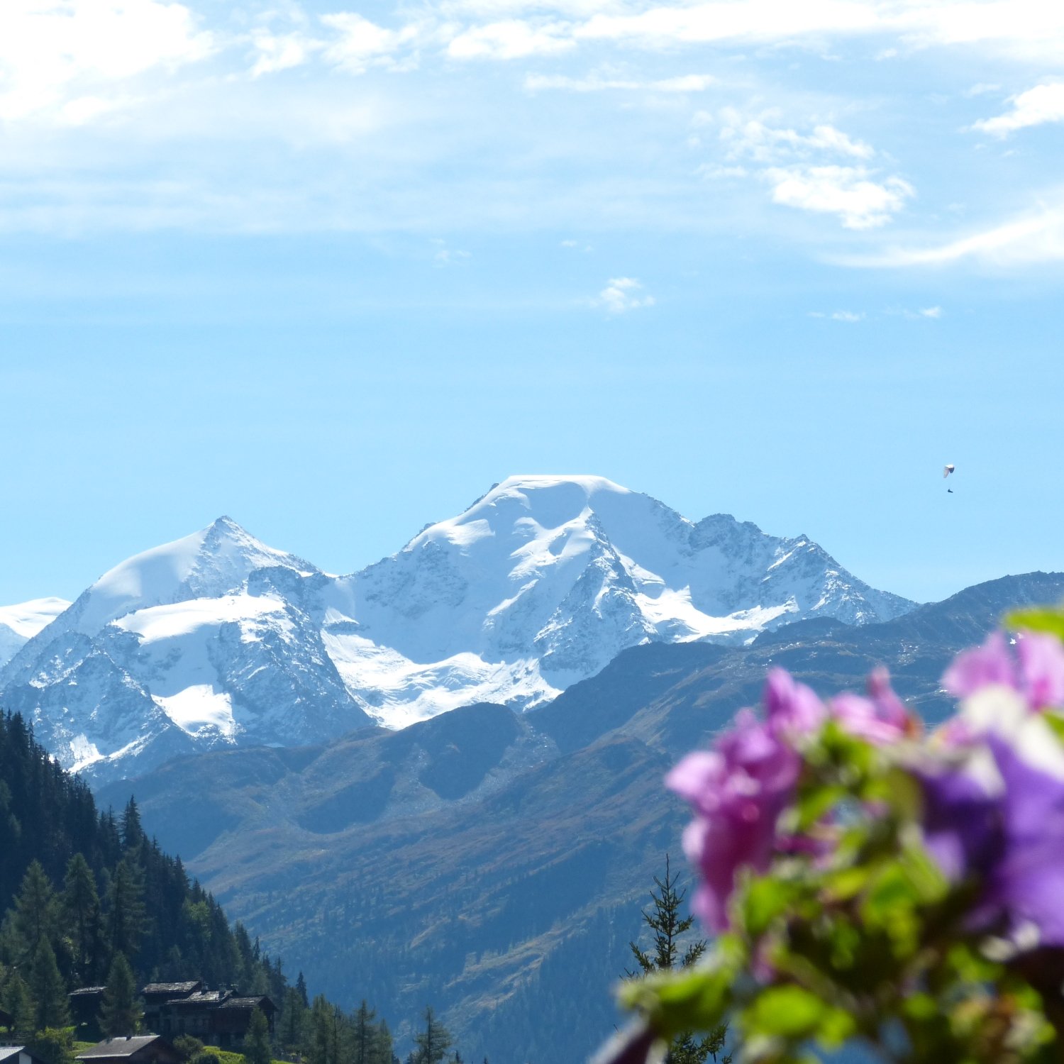 Hôtel Ermitage Verbier by null