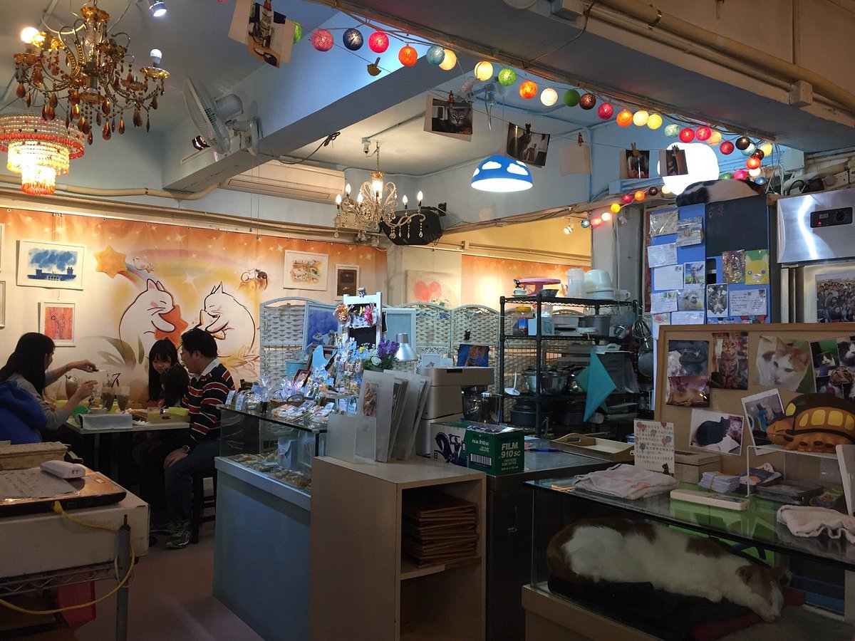 Ah Meow Cat Café, Гонконг - фото ресторана - Tripadvisor