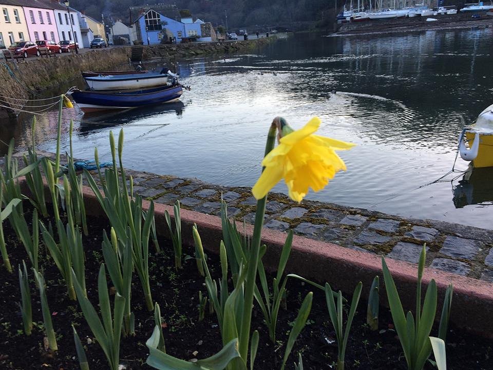 yacht club cafe fishguard