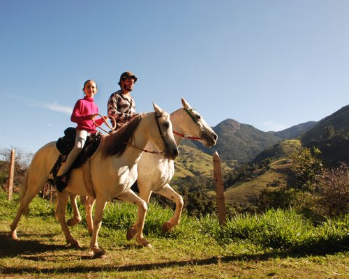 Passeios a cavalo que são ótimas pedidas para conhecer a natureza  pantaneira de pertinho