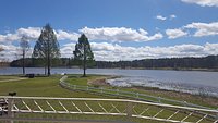 Terminus Wake Park  Official Georgia Tourism & Travel Website