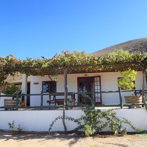 Belvedere Cottage