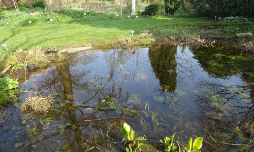 COSTERUS-TUIN MAART 2017
