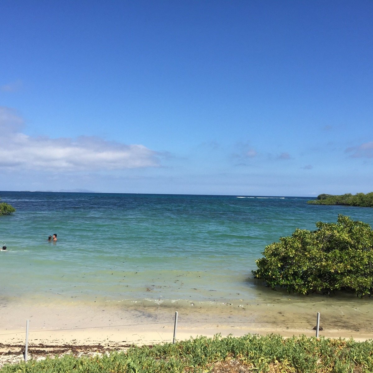 Walking tour Sendero de la Isla  Travel in Ecuador and Galapagos