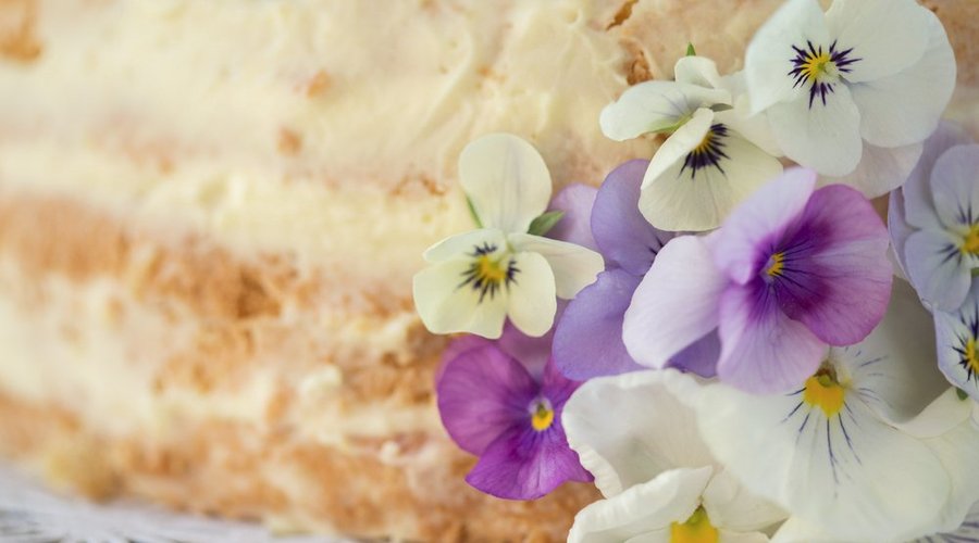 Well-Bred Bakery & Cafe - Special Cake
