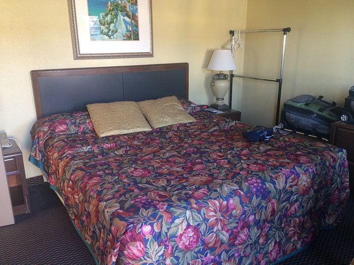 BAYSIDE INN - Updated 2024 Prices, Reviews, and Photos