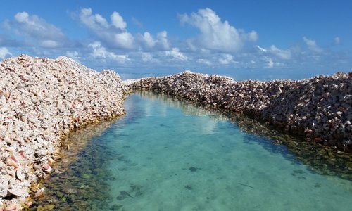 Anegada 2023: Best Places to Visit - Tripadvisor