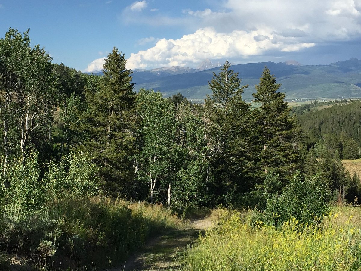 Moose Creek Ranch - UPDATED 2024 Prices, Reviews & Photos (Idaho/Victor) -  Tripadvisor