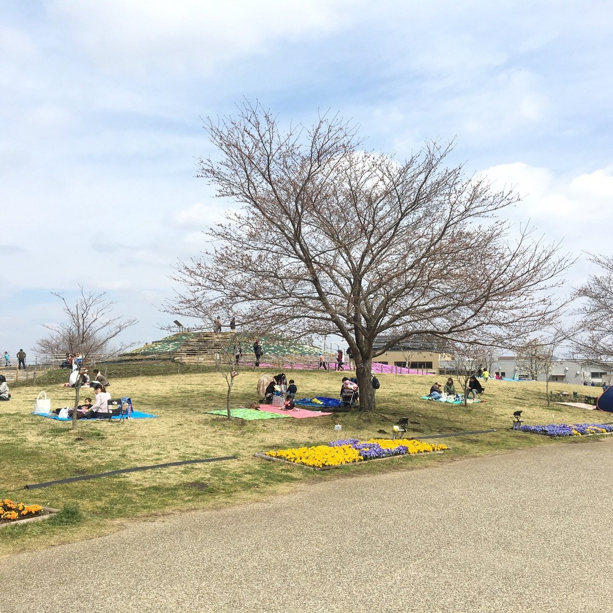 21年 神奈川県立相模三川公園 行く前に 見どころをチェック トリップアドバイザー