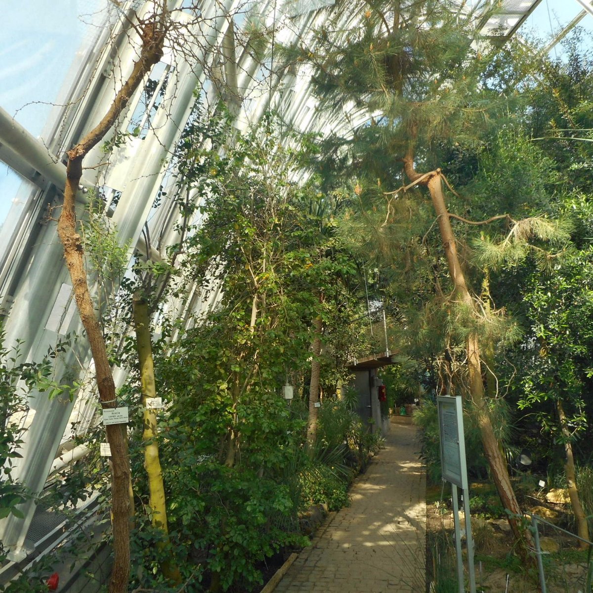 BOTANICAL GARDEN (BOTANISCHER GARTEN) (Graz) All You Need to Know