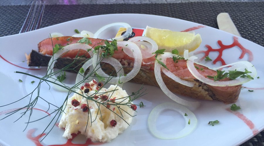 salmon starter
