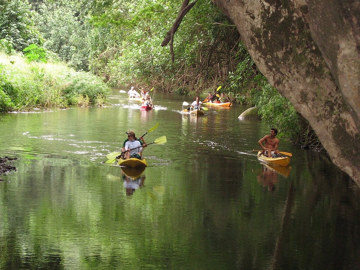 Kayak Wailua Kapaa 2022 Lo Que Se Debe Saber Antes De Viajar Tripadvisor 9705