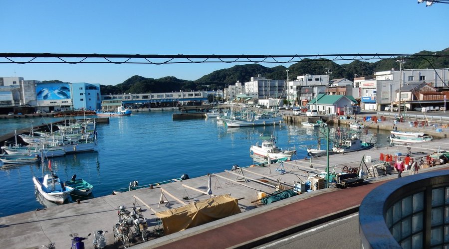 view of the harbour from bedroom window