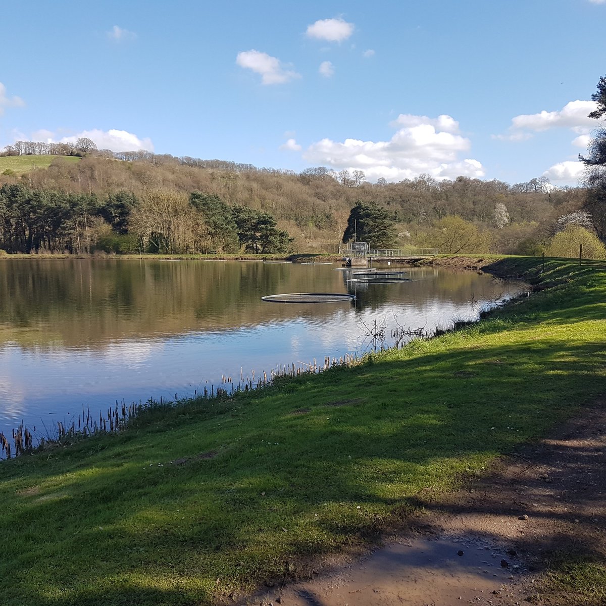 Trimpley Reservoir. (Bewdley) - All You Need to Know BEFORE You Go