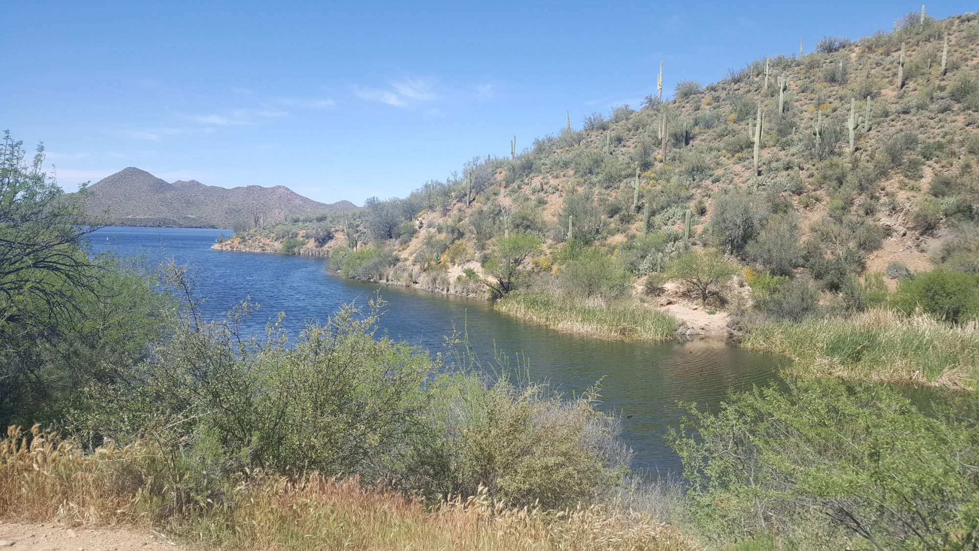 Tonto National Forest Arizona ATUALIZADO 2023 O Que Saber Antes De   View From A Little Ways 