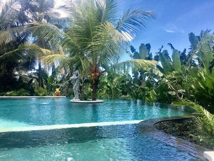 Alamdini Resort Ubud Pool: Pictures & Reviews - Tripadvisor