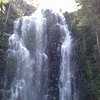 Things To Do in Kakochang Waterfalls, Restaurants in Kakochang Waterfalls