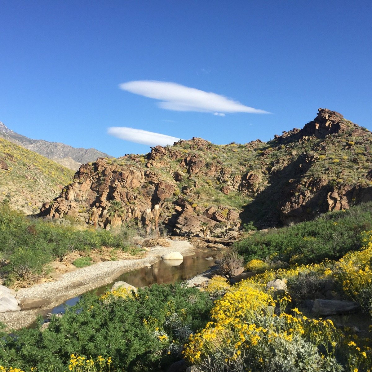 Indian Canyons, Палм-Спрингс - Tripadvisor