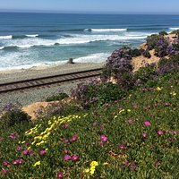 Spring time at Seagrove Park in Del Mar (San Diego)