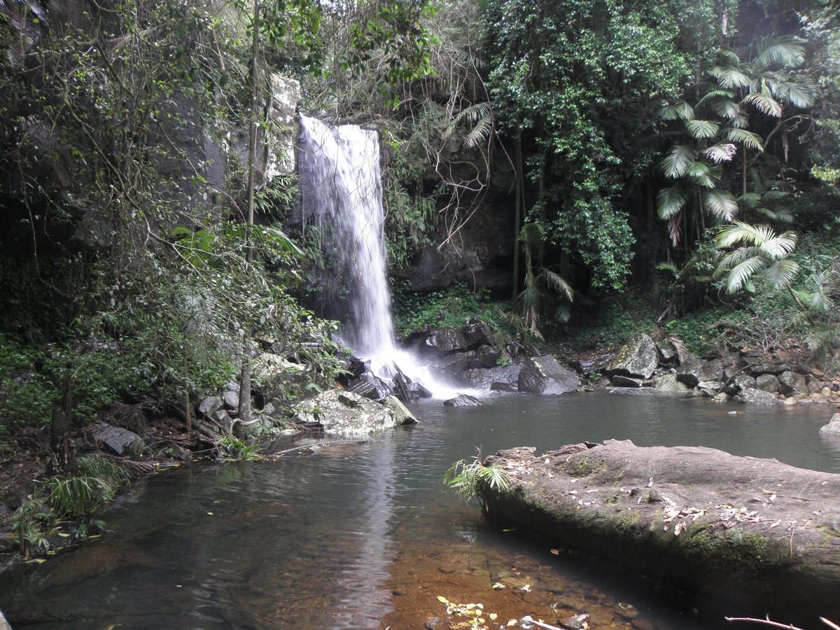 Araucaria Ecotours - Day Tours - All You Need to Know BEFORE You Go (2024)