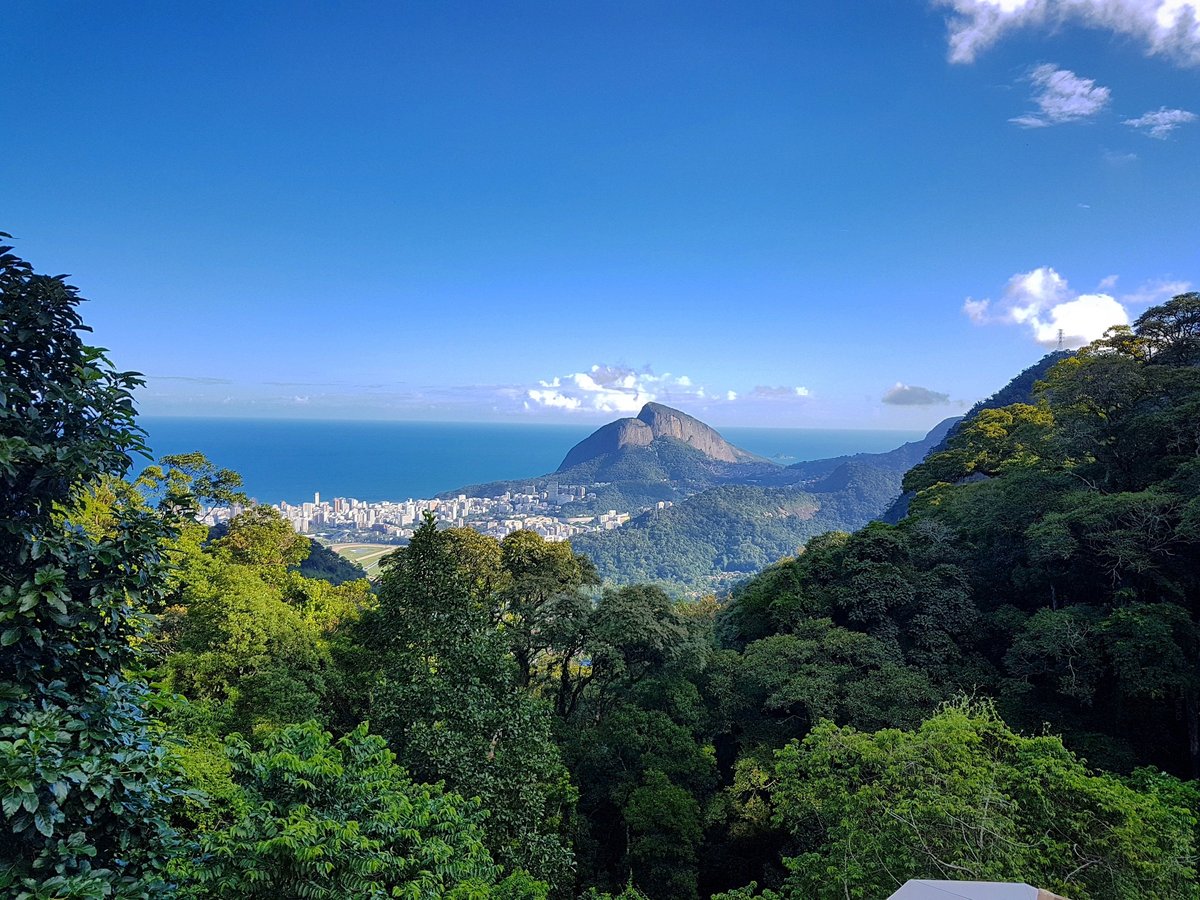 Parque Nacional da Tijuca, Рио-де-Жанейро: лучшие советы перед посещением -  Tripadvisor