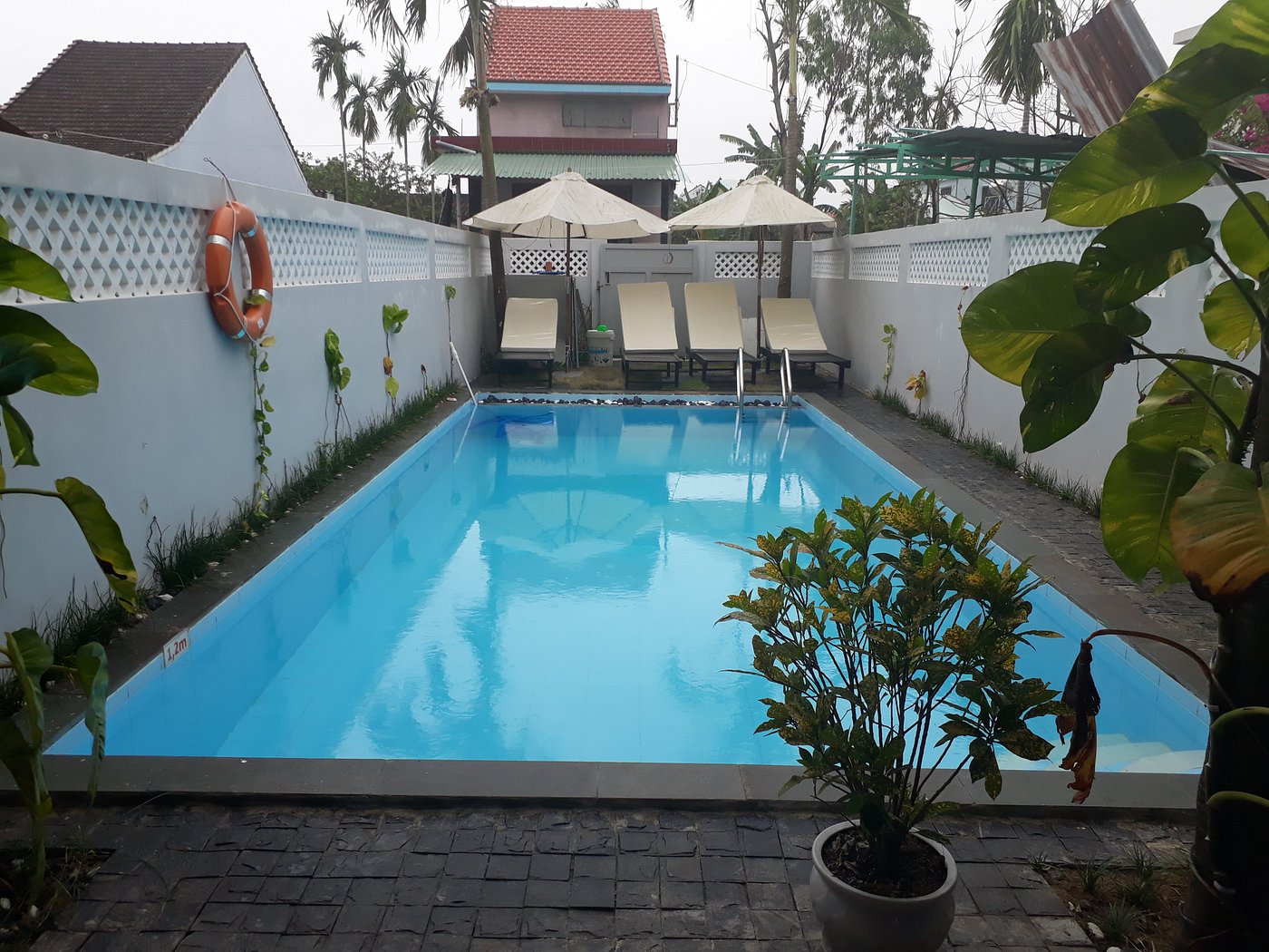 DAISY GARDEN VILLA Updated 2024 Prices & Lodge Reviews (Hoi An, Vietnam)