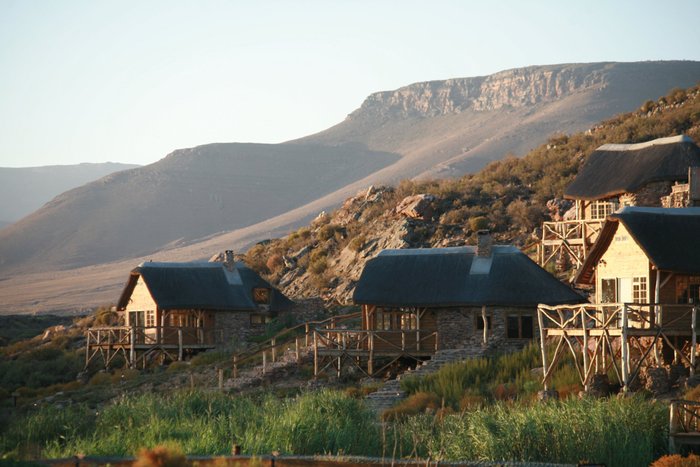 Aquila Private Game Reserve Rooms: Pictures & Reviews ...