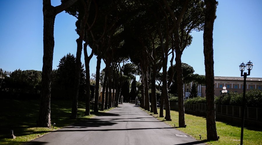Viale d'entrata