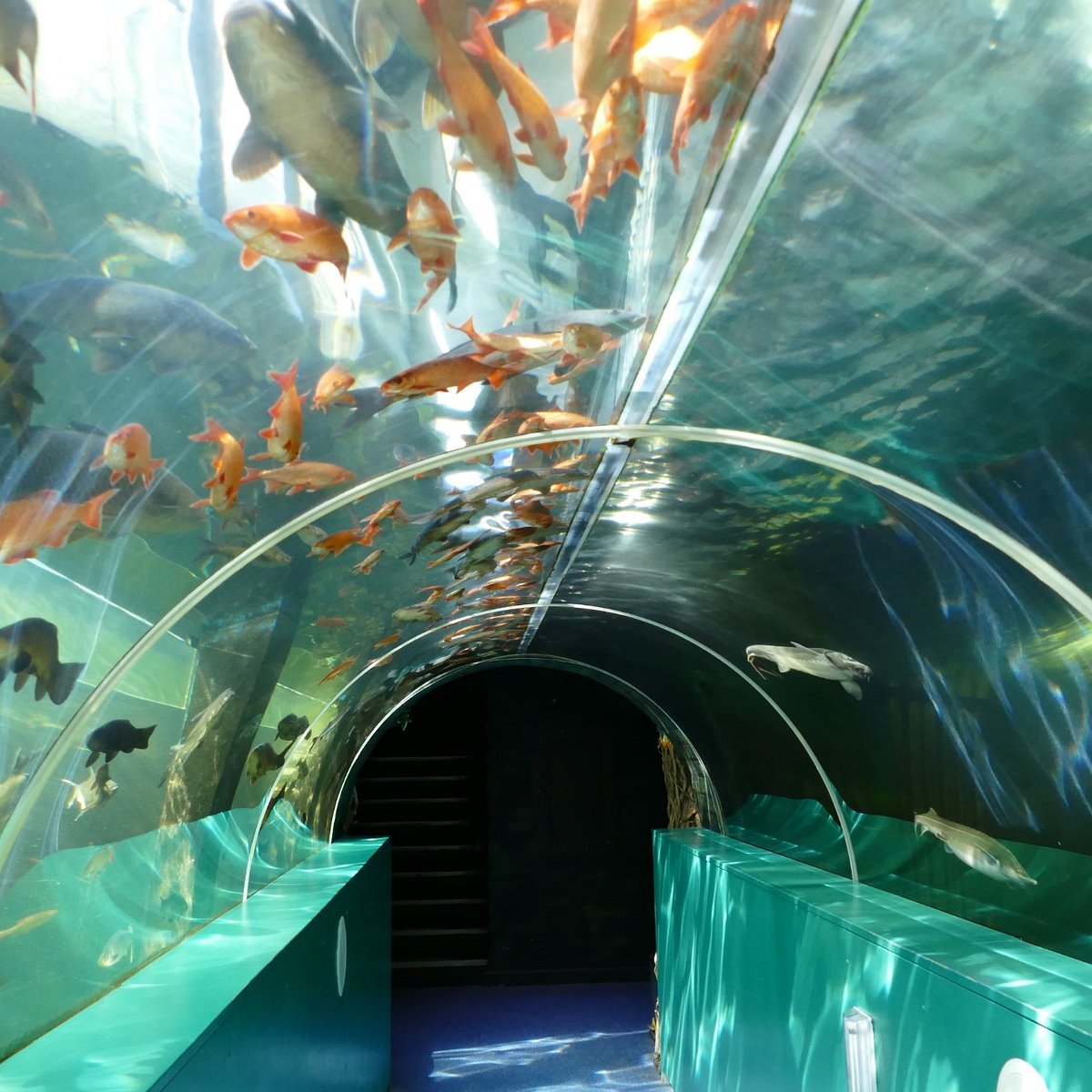 LAKES AQUARIUM: All You Need to Know BEFORE You Go (with Photos)