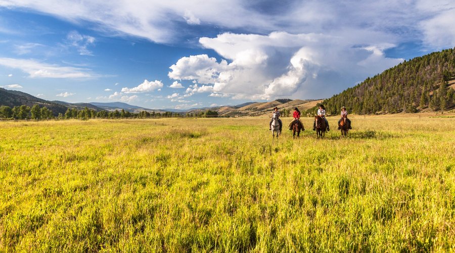 Four wranglers enjoy a summer trail ride.