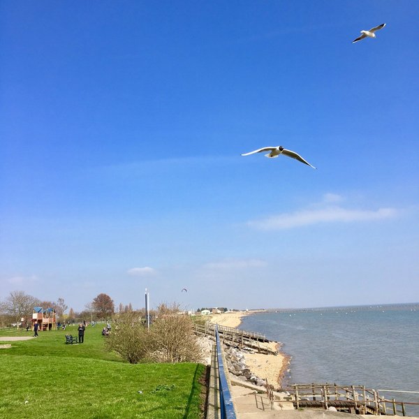 Southchurch Park (Southend-on-Sea) - 2021 All You Need to Know BEFORE ...