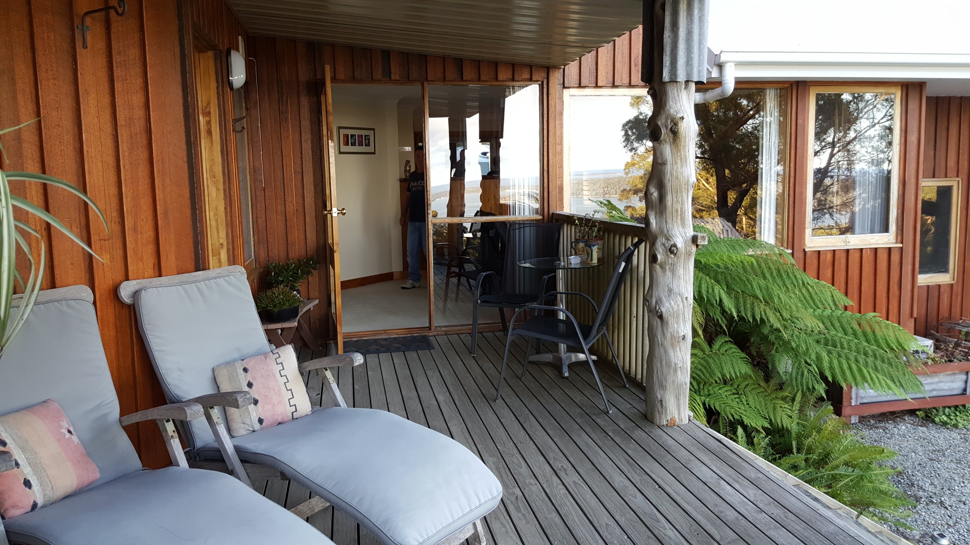 BED IN THE TREETOPS B&B - Reviews (St Helens, Tasmania)