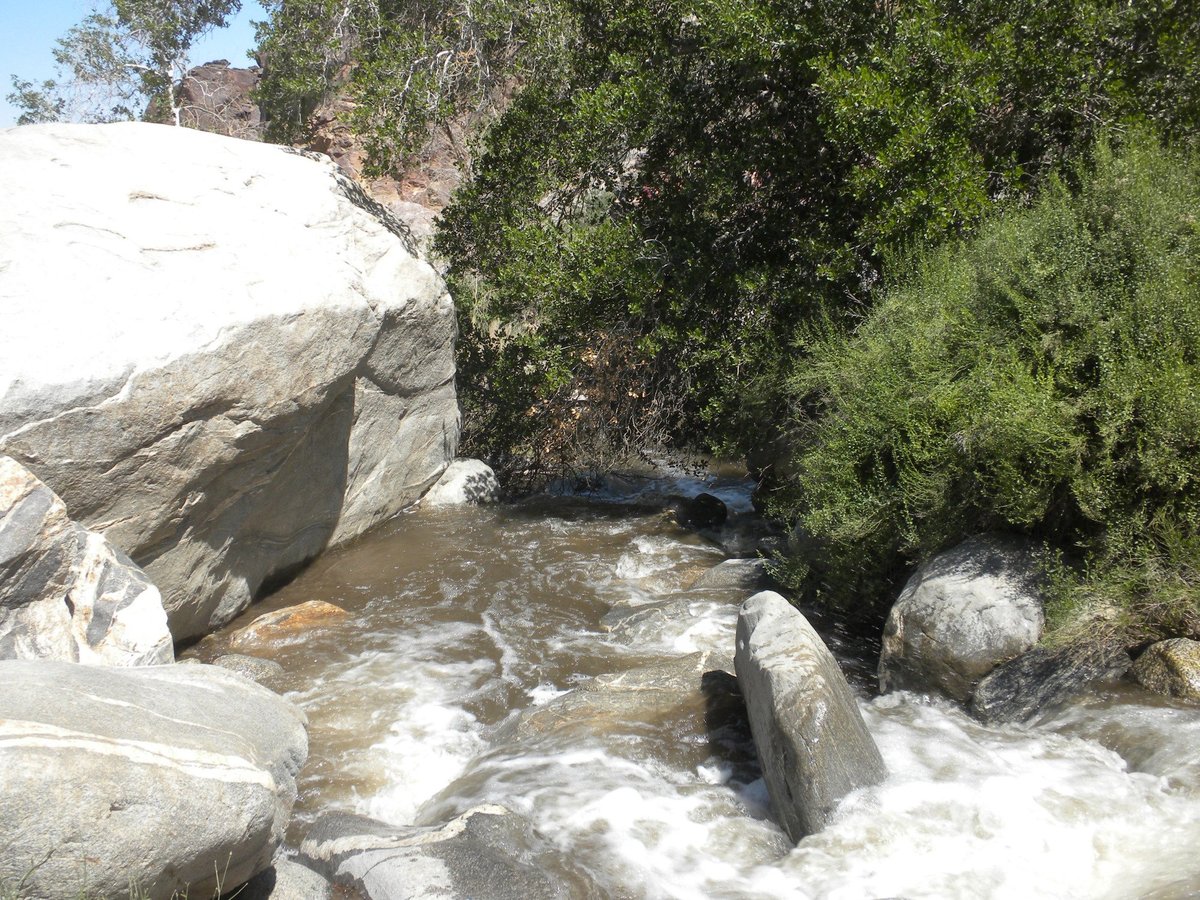 are dogs allowed at tahquitz canyon