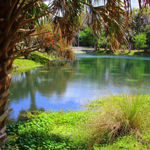 Willow Pond Nature Trail, Florida - 145 Reviews, Map