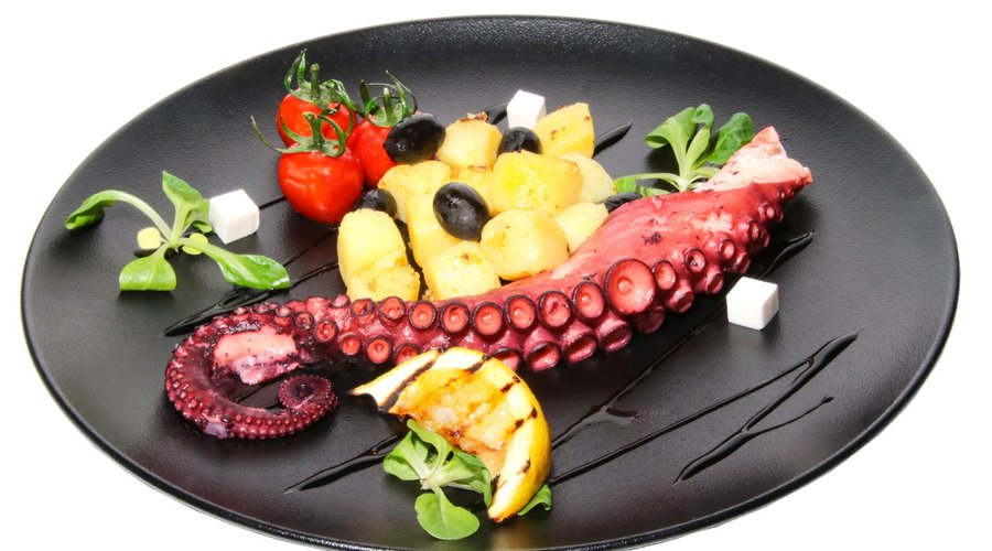 Pulpo