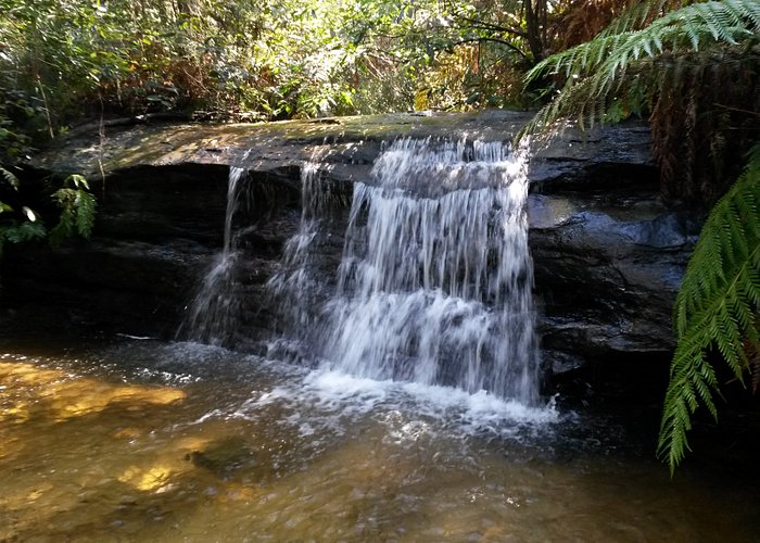 lawson blue mountains tourism