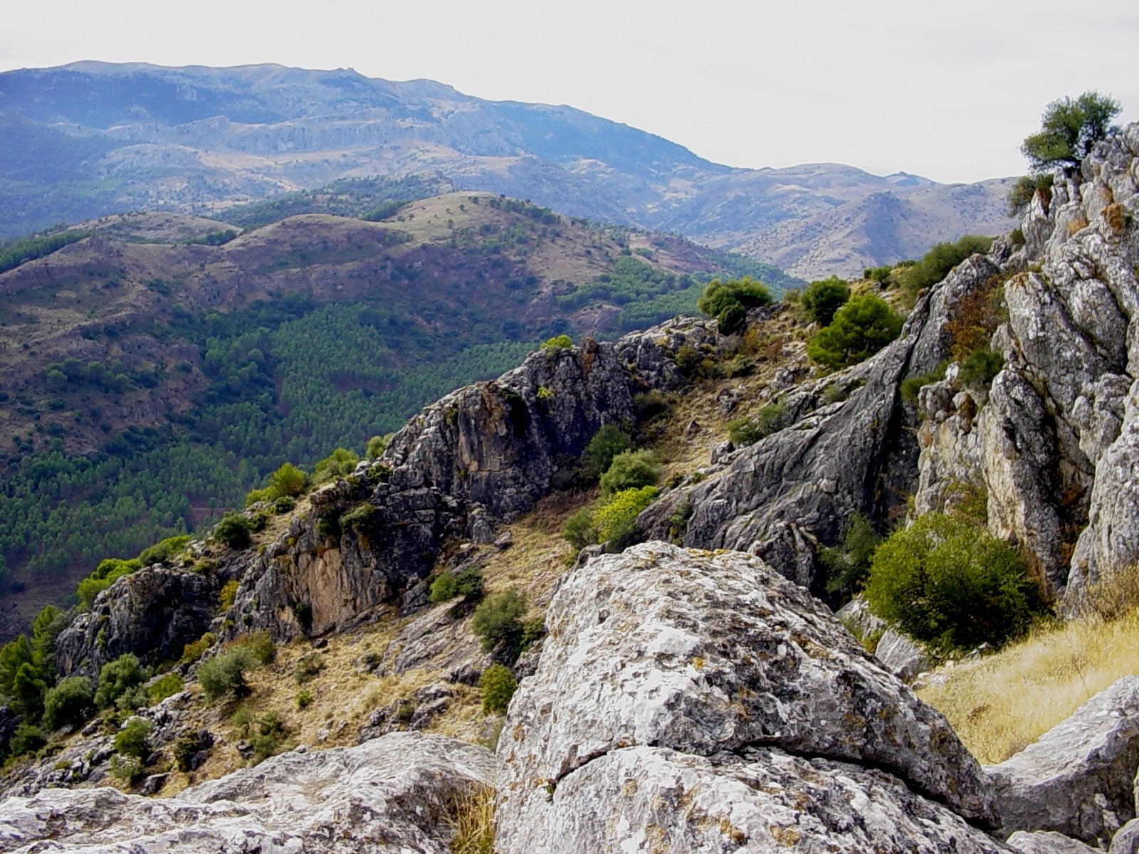 Parque Nacional Sierra De Las Nieves - All You Need to Know BEFORE