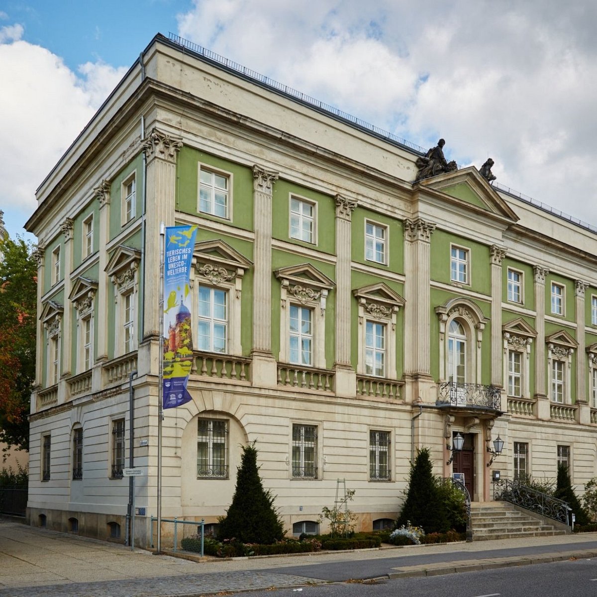 Naturkundemuseum Potsdam, Потсдам: лучшие советы перед посещением -  Tripadvisor