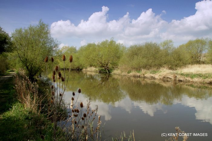 The river Stour at Stodmarsh