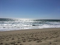 File:Dolphins, Zuma Beach, Malibu, California (13) (3125722034