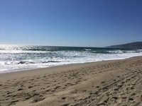 File:Dolphins, Zuma Beach, Malibu, California (13) (3125722034