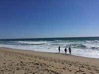 File:Dolphins, Zuma Beach, Malibu, California (13) (3125722034