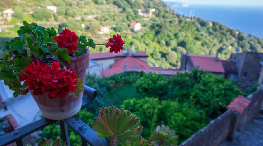 Giardino e panorama
