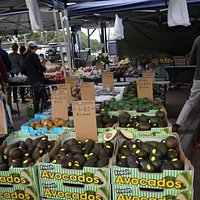 Avocadoes anyone?