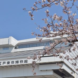 東京23区の美術館 博物館 ベスト10 トリップアドバイザー