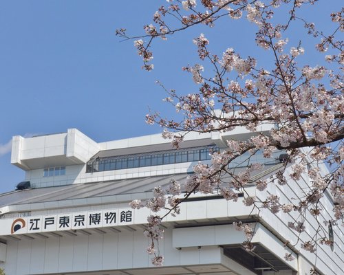 東京23区の美術館 博物館 ベスト10 トリップアドバイザー