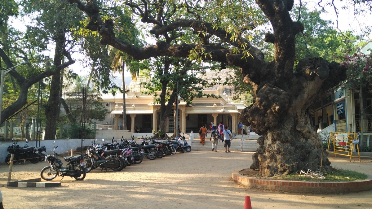 Ramana Maharshi Ashram